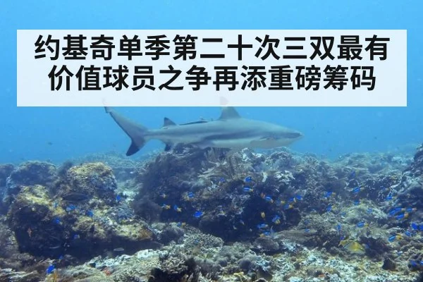约基奇单季第二十次三双最有价值球员之争再添重磅筹码