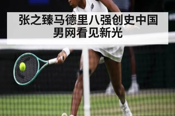 张之臻马德里八强创史中国男网看见新光
