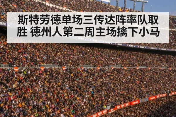 football stadium crowd